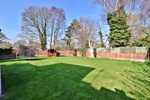 Photo 15- click for photo gallery